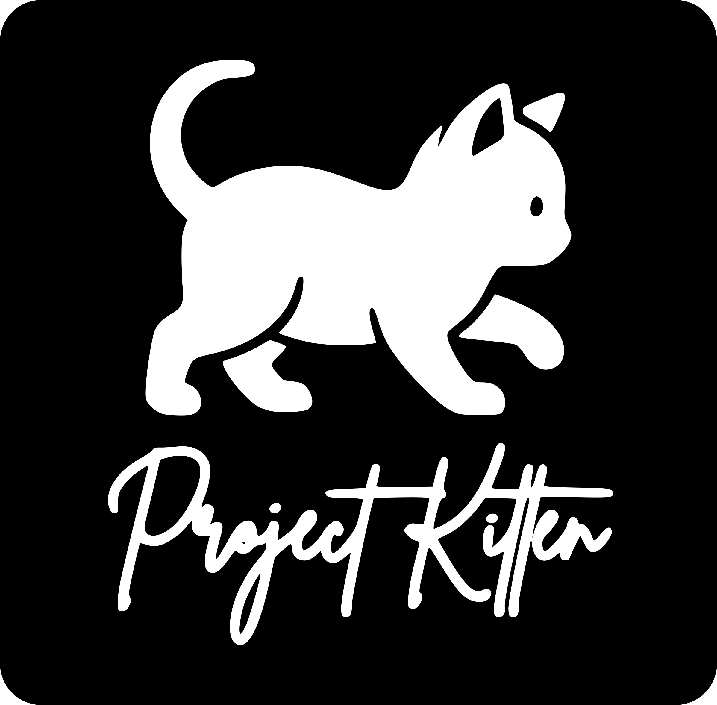 Project Kitten™